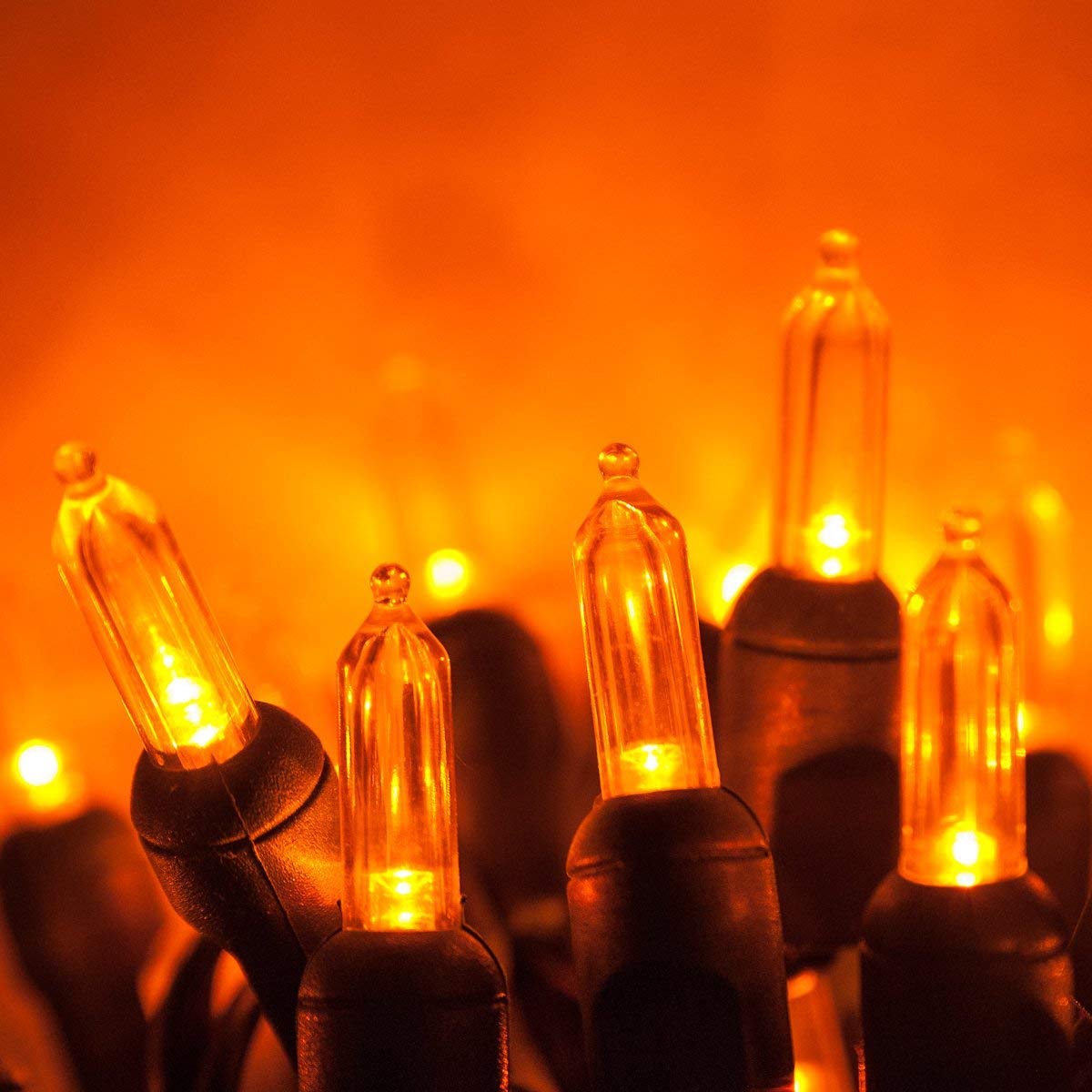 Wintergreen Lighting 50 T5 LED Mini Lights, 25.5 ft Green Wire, Amber, Model IOS-2-50, Indoor/Outdoor, Commercial Grade