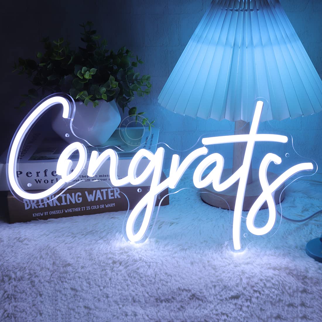 Sylhome Led Neon Congrats Sign - Cold White Acrylic Light For Wedding, Birthday, Graduation - 15.8 X 7.4 - Model Ns-Rc5Vd-Amz-Cong