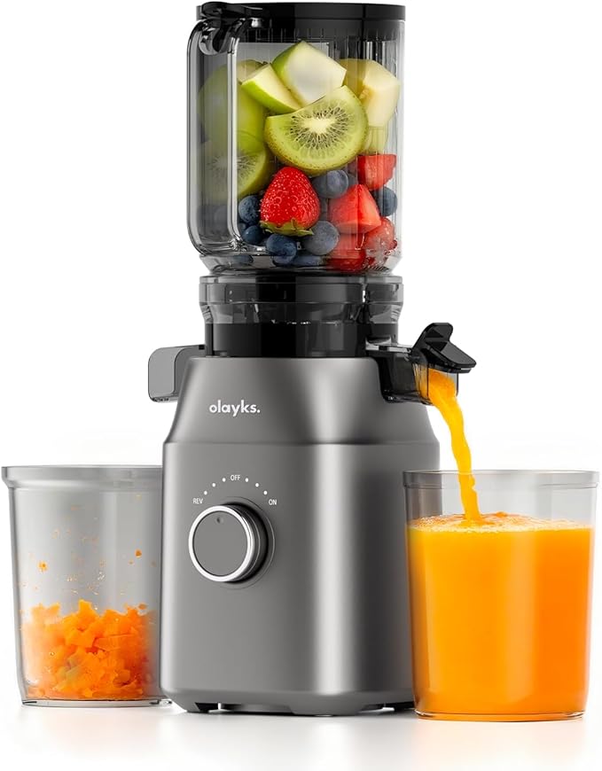 Juicer Machines, High Juice Yield Cold Press Juicer for Fruit and Vegetable, Masticating Machine with Juice Recipe, Self Feeding Effortless for Batch Juicing,Easy to Clean,Grey