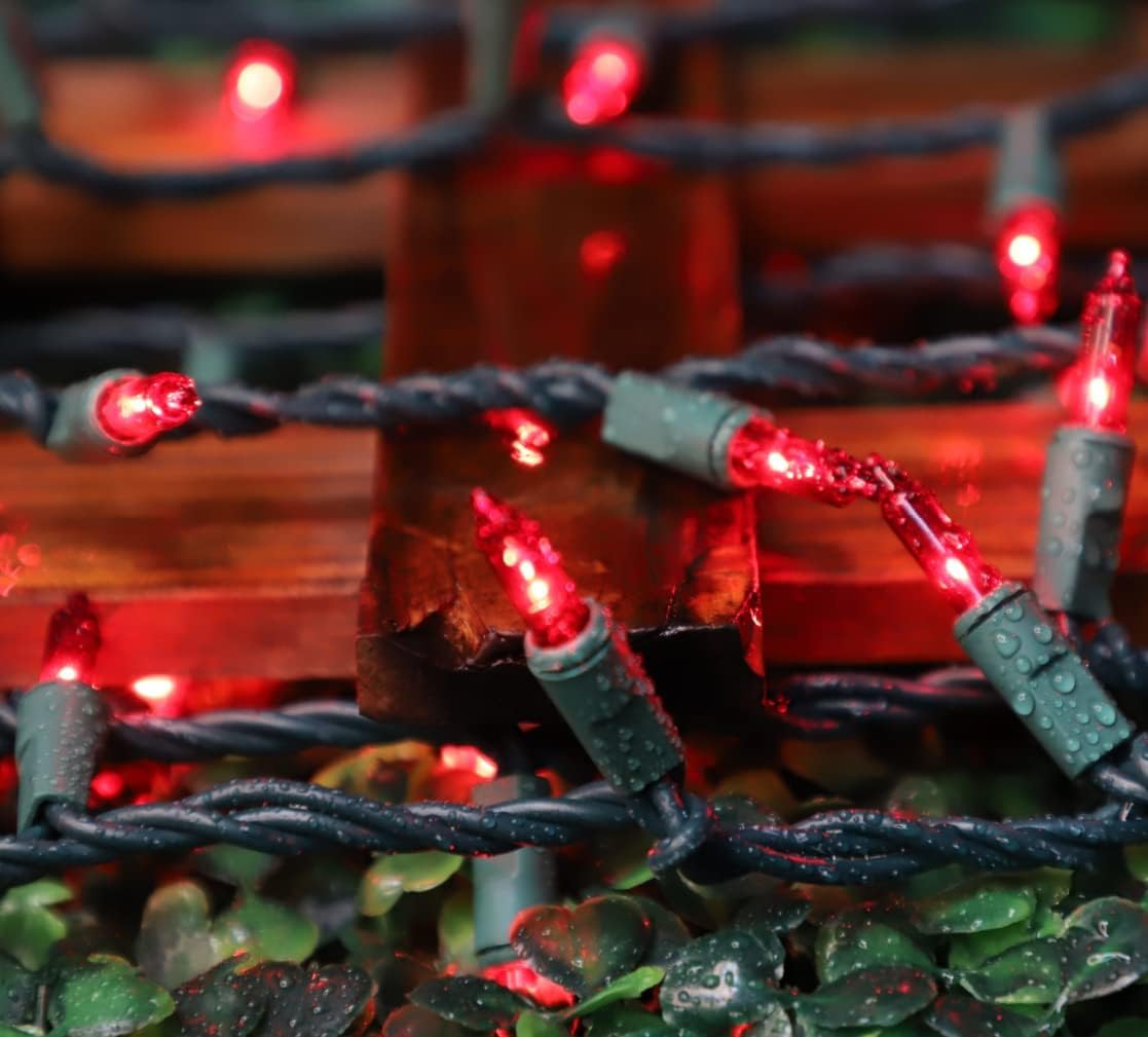 Lamphome 100 Count Red ValentineS Day Lights With 20Ft Green Wire Waterproof Mini String Lights For Holiday Decorations  Christmas Tree  Party  Wedding  Xmas  Home  Indoor & Outdoor Use