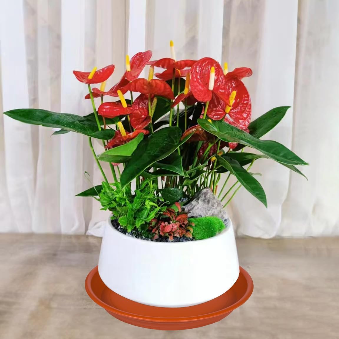 2 Pack Plant Saucer Drip Tray 13 14 inch, Large Plastic Flower Planter Saucers and Drip Trays for Indoors Outdoors, Heavy Durable Plant Plate Water Catcher (14", Terracotta)