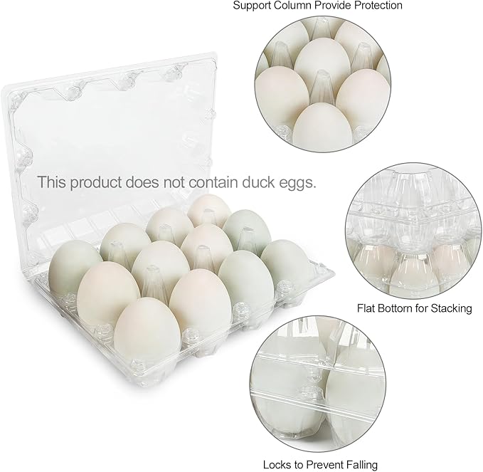 50 Pack Large Plastic Egg Cartons - 1 Dozen Clear Duck Egg Tray - Reusable Egg Storage Holder for Refrigerator, Family Pasture, Duck Farm, Market Display