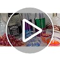 Zhehao 100 Pcs 9 oz Rimmed Plastic Cups Clear Wine Glasses Heavy Duty Cocktail Cups for Wedding Birthday Holiday Party Rec...