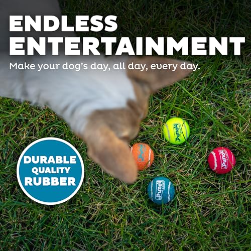 Outward Hound Squeaker Ballz – Squeaky Tiny Tennis Balls for Small Dogs Under 15 lbs, Fetch & Training, X-Small (1.5"), 8-...