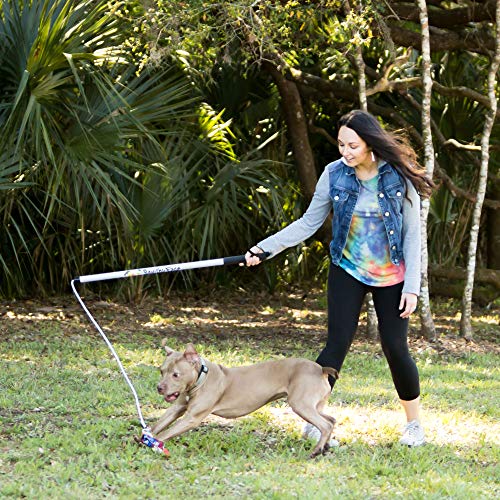 Squishy Face Studio Flirt Pole V2 with Lure - Durable Dog Toy for Fun Obedience Training & Exercise, Purple/Blue Tie Dye, ...