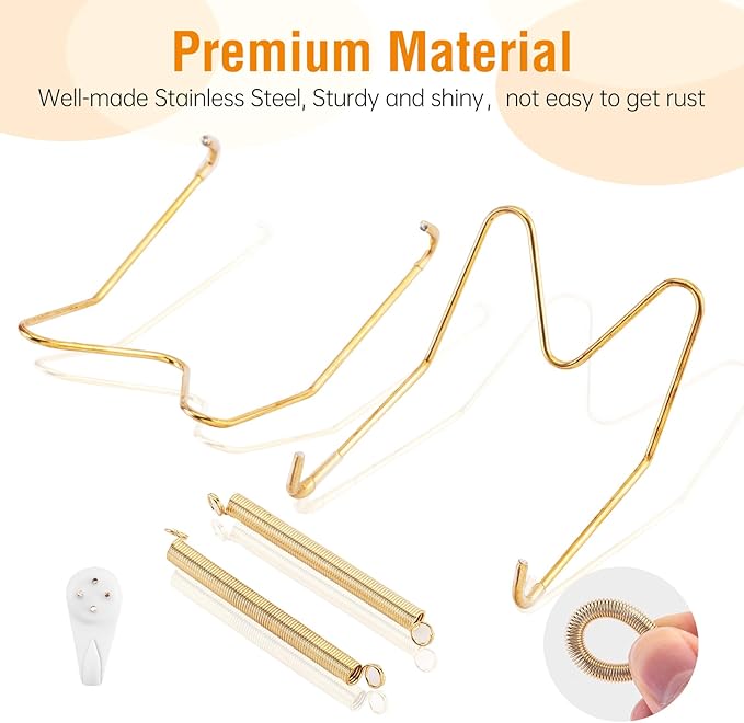 Bilillo 12 Pack Plate Hangers for The Wall, Suitable for 12-16 inch Art Plate, Stainless Steel Invisible Heavy Duty Wire Plate Holder with Wall Hooks, Plate Hangers for Displaying Plates
