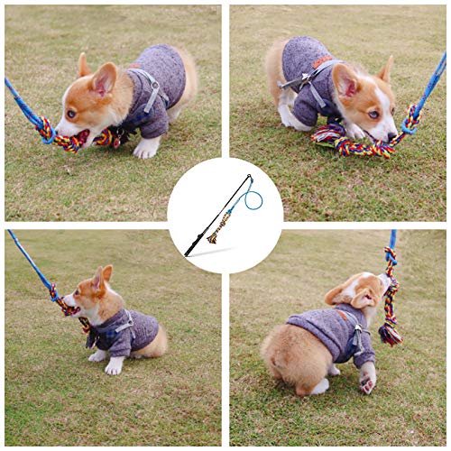 DIBBATU Flirt Pole for Dogs Interactive Dog Toys for Large Medium Small Dogs Chase and Tug of War, Dog Teaser Wand with Lu...