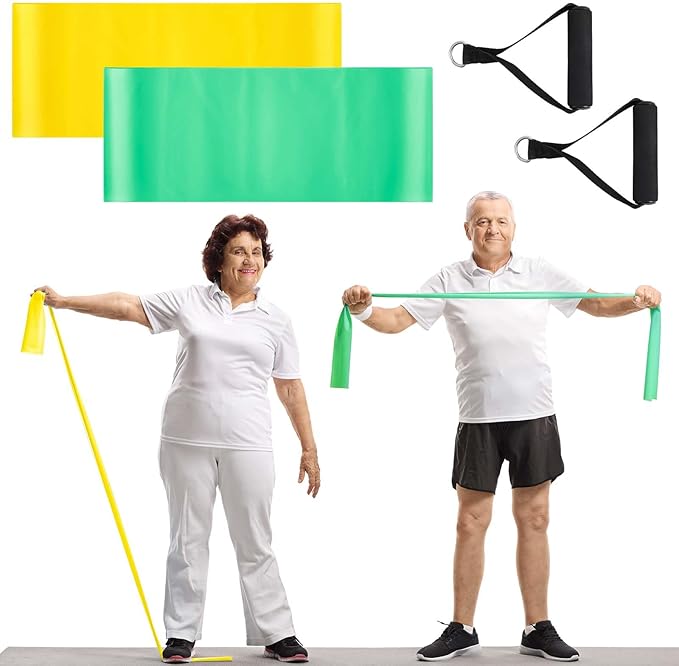 Relaxgiant 2 Pcs Resistance Band with Handles Chair Exercise Equipment for Seniors Physical Therapy Band Gifts for Elderly...
