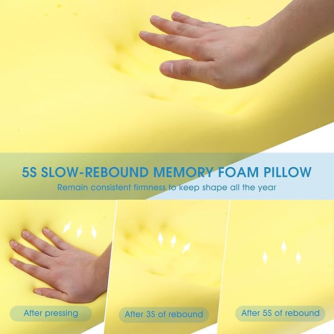Memory Foam Pillow, Neck Bed Contour Pillow for Sleeping, Ergonomic Orthopedic Cervical Pillow for Side Back Stomach Sleeper, Queen,Firm,White