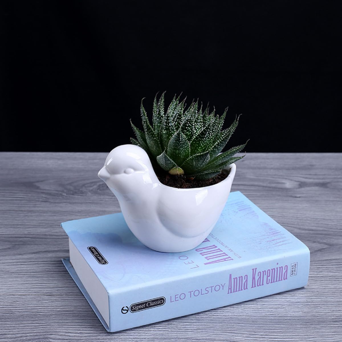BESPORTBLE White Ceramic Bird Shape Flower Pot for Indoor Plants Cute Succulent Planter with Drainage Saucer Small Desktop Decor for Home Office Garden and Creative Design