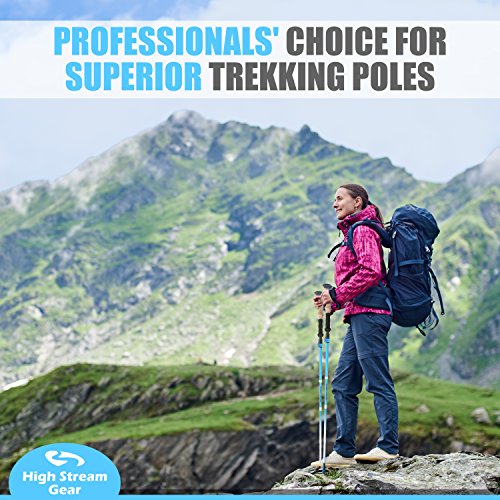 Walking Sticks for Men & Women - 14.5" Foldable Hiking Poles for Backpacking, Exercising and Traveling, Set of 2 Aluminum ...