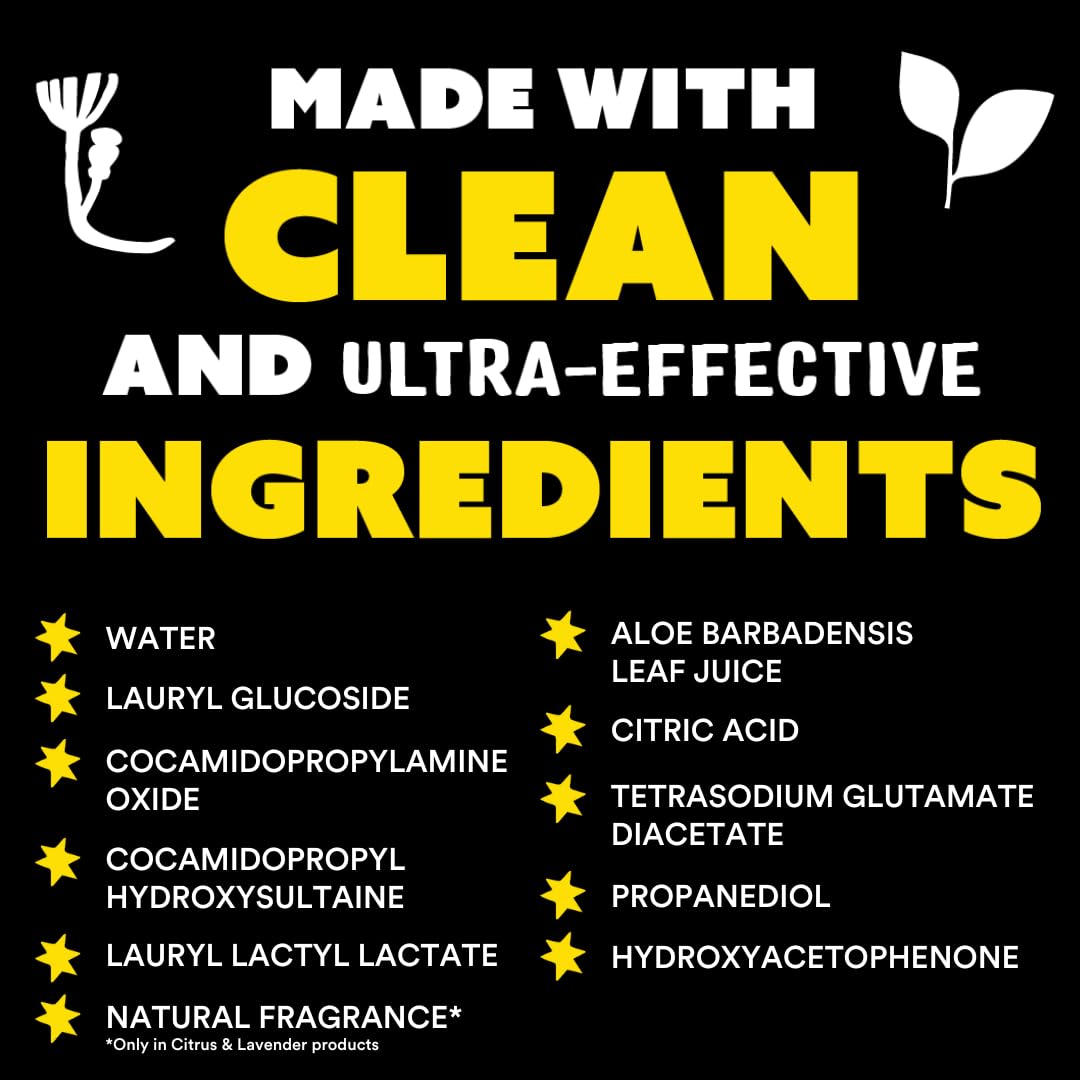 Molly's Suds Liquid Dish Soap | Clean, Simple Ingredients | Extra Scrubbing Power | Lavender Scent, 24 oz - 2 Pack