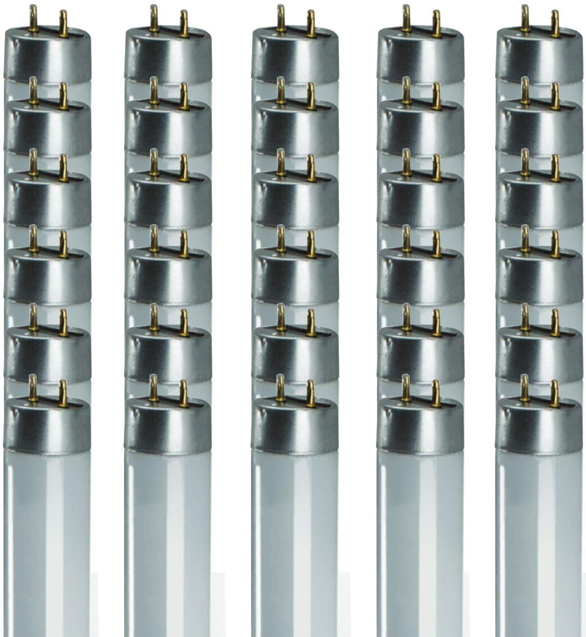 Goodbulb F28T8 28W 48 Inch T8 Fluorescent Light Bulb 5000K Daylight White Color Medium Bi-Pin Base 2970 Lumens 86 Cri 36000 Life Hours Car Dealership Lighting 30 Bulbs Pack