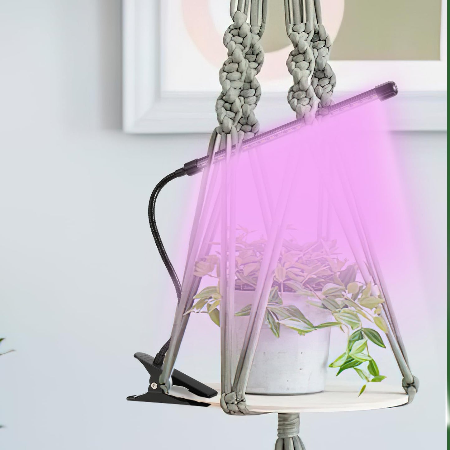 Sunny Power Clip On Grow Lights For Indoor Plants Full Spectrum  Adjustable 6000K Led Plant Lights For Indoor Growing With Auto Timer & 3 Lighting Modes For Succulents  Seed Starting