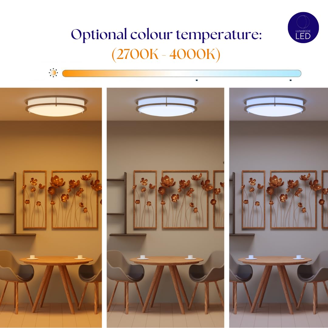 Lunabode Led Flush Mount Ceiling Light, 22W (100W Eq), 1800Lm, 14 Warm White, Brushed Nickel, Model Gs-Drcl14-182