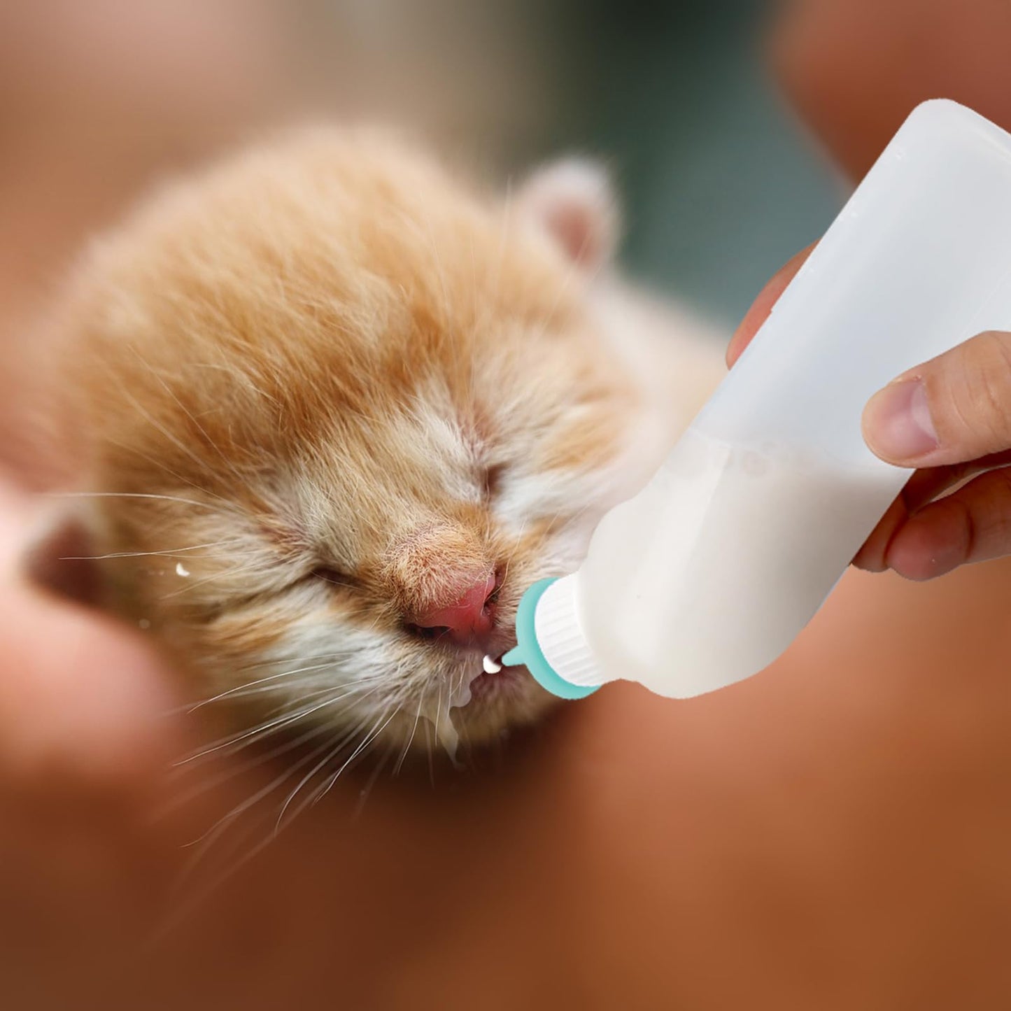 Xuandea 5Pack Kitten Bottle for Nursing Puppy Milk Kitten Bottles Feeding Kit Silicone Nipple for Newborn Pets Kittens, Puppy,Squirrel (Green)