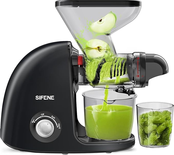 Slow Masticating Cold Press Juicer Machine - Dual Mouth, Quiet Motor, Anti-Clog, Black