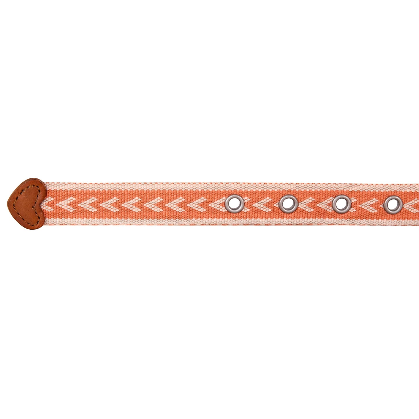 Eddie Bauer Women's Cascade Grommet Webbing Belt with Metal Buckle - Coral - Small