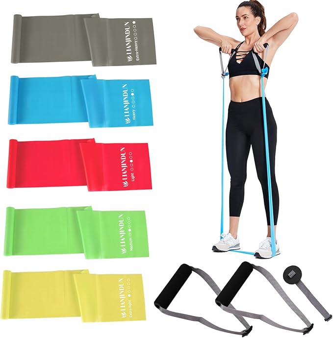 Professional Resistance Bands. Latex-Free, Work Out Bands, Stretch Bands for Working Out Women or Men, Exercise Bands Set ...