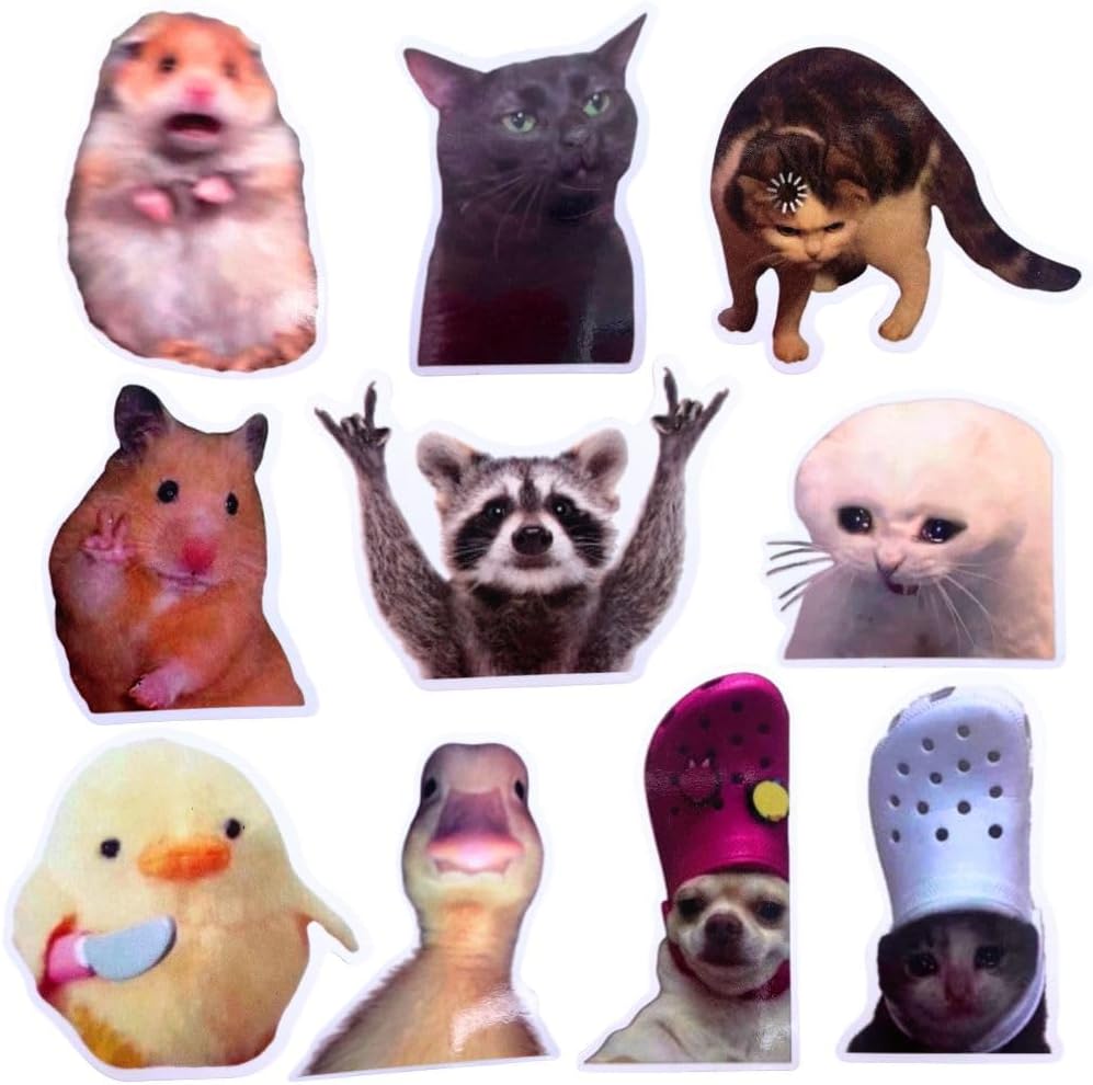 10PC Funny Meme Animals Fridge Magnets, Fun Cute Weird Magnetic Crying Cat Dog Hamster Duck Magnets for Gaming Kitchen Home Decor Bumper School Locker Work for Boys Girls Adult Accessories