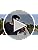 Jefoo Polarized Sports Sunglasses for Women Men Running Retro Trendy Sun Glasses UV400 Protection Tangle Free
