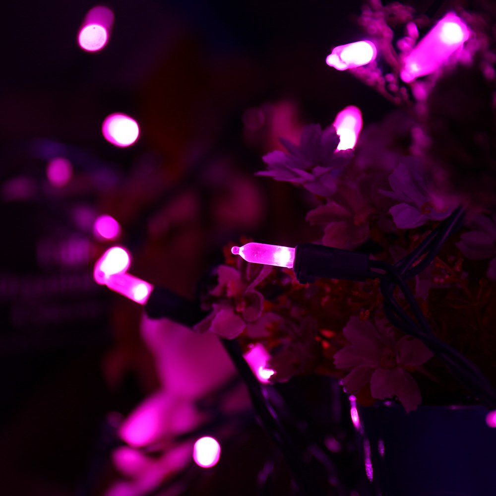 Brizled LED String Lights, 100 LED 33ft Fairy Lights, Pink, UL Certified for Indoor & Outdoor Use, Model HHGDHLLK001