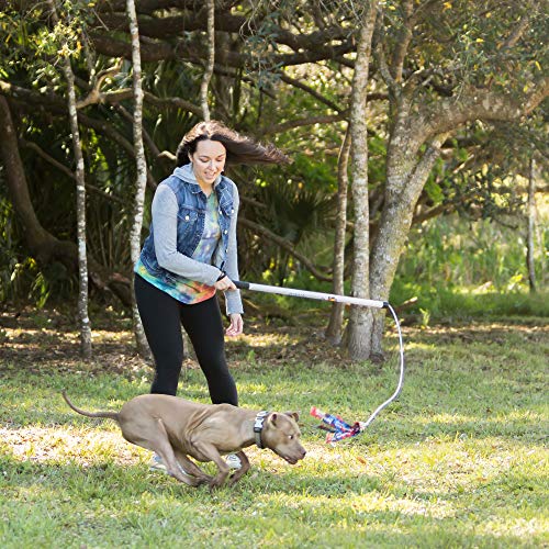 Squishy Face Studio Flirt Pole V2 with Lure - Durable Dog Toy for Fun Obedience Training & Exercise, Rainbow Tie Dye, Regu...