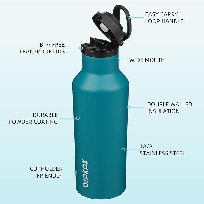 BJPKPK Insulated Water Bottle With Straw 17oz Stainless Steel Water Bottles With 2 Lids And Carry Handle Reusable Travel Metal Thermal Flask,Lake Blue