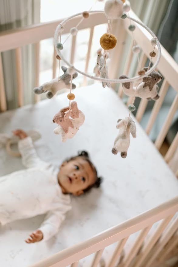 Pehr Classic Wool Felt Baby Mobile, Field of Dreams | Handmade Nursery Décor | Includes Gift Box | Ethical & Enchanting | 28” x 9”