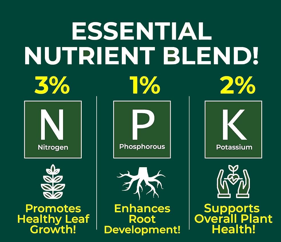 Professional Spider Plant Spray Fertilizer Mist for Home Gardening | 3-1-2 Gentle Blend Mist for Healthy Leaves & Growth | Essential Nutrients for Spider Plants - 8oz