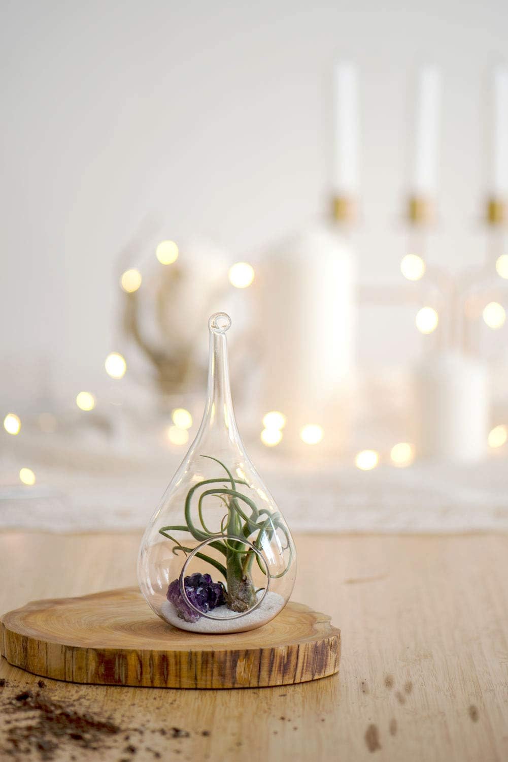 Mkono 3 Pack Glass Hanging Planter Air Fern Holder Terrarium Plants Hanger Vase, Home Christmas Decoration Gifts for Plant Lovers, Succulent Moss Tillandsias Air Plants Globe (Plant Not Included)