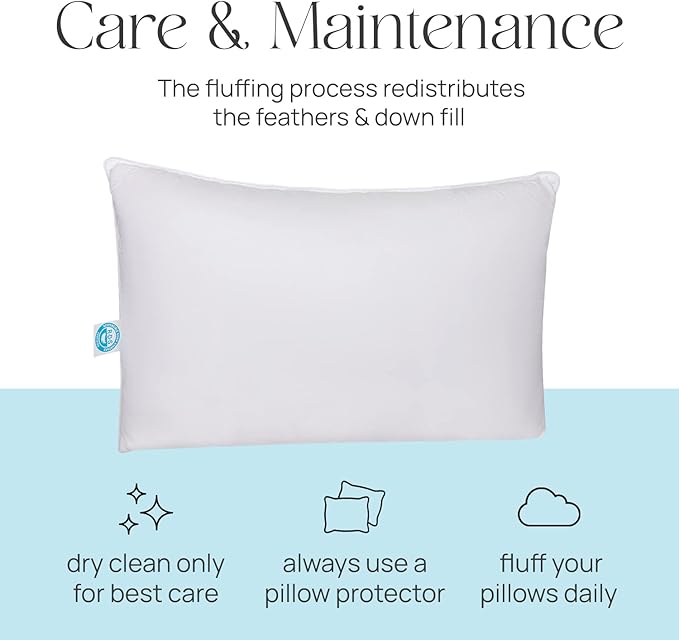 East Coast Bedding Pure Dream Firm Pillow - Queen Pillow Medium Support, Queen Size 20x30 Inch Goose Feather Down Pillows, 100% Cotton Shell, Set of 2