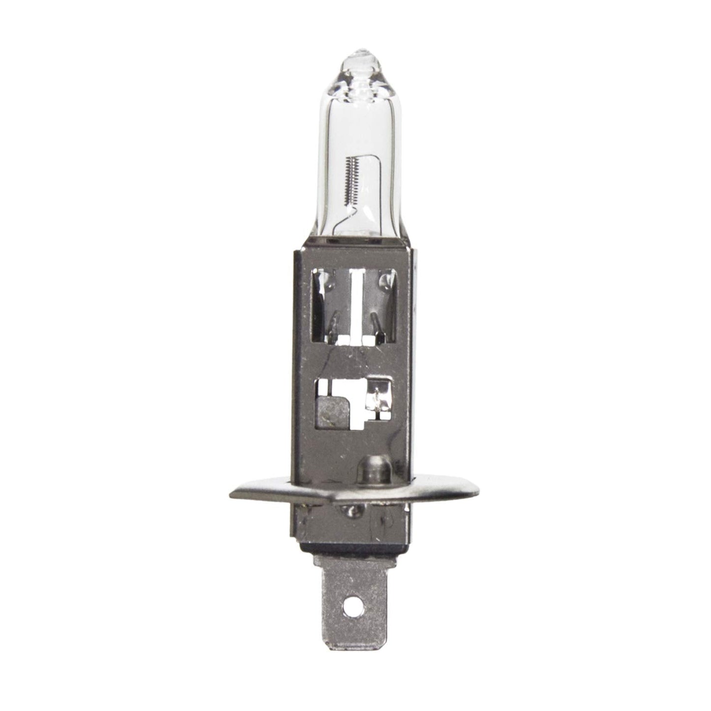 Wagner Lighting Bp1255/H1 Multi-Purpose Light Bulb Card Of 1