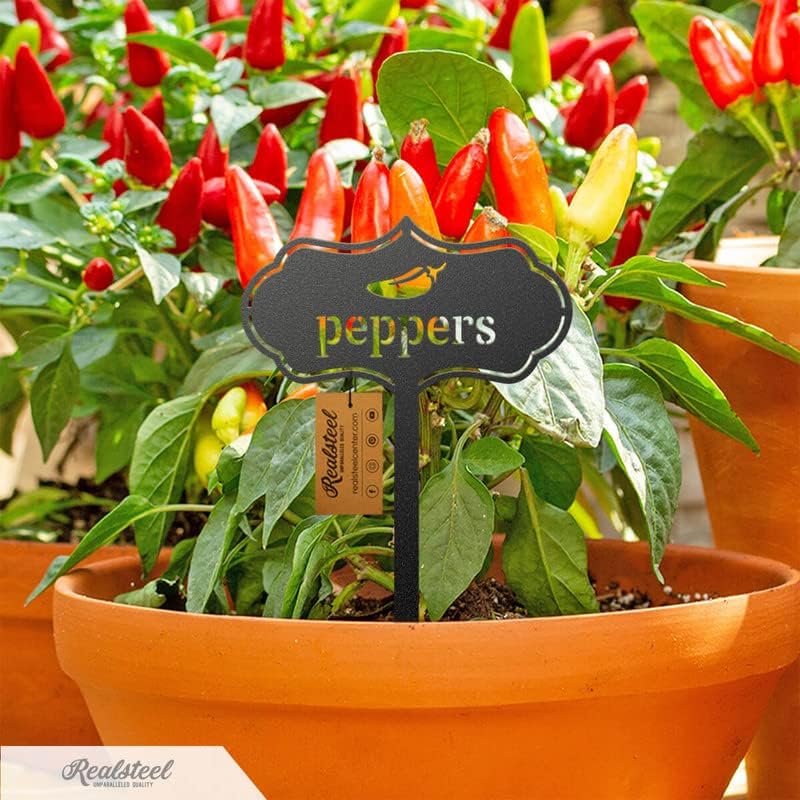 RealSteel - Seed & Plant Markers - Indoor/Outdoor Herb Garden Stakes - Elegant Fruit/Vegetable Seed Labels - Durable Plant Tags for Pots - Classy Design for Farmhouse/Greenhouse (Basil)