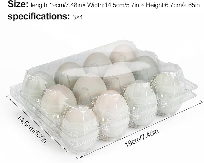 50 Pack Large Plastic Egg Cartons - 1 Dozen Clear Duck Egg Tray - Reusable Egg Storage Holder for Refrigerator, Family Pasture, Duck Farm, Market Display