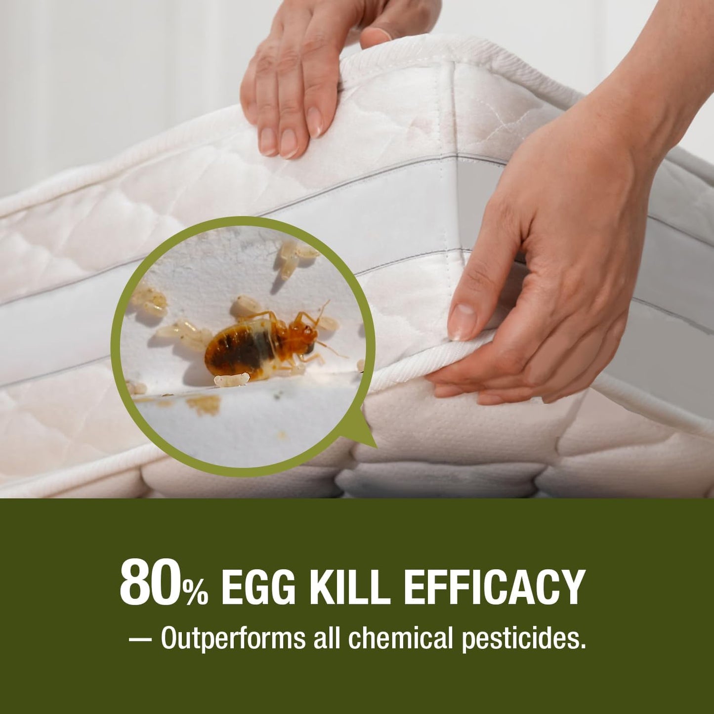 Bed Bug Killer (16OZ) EcoVenger by EcoRaider−100% Kill Efficacy−Kills All Stages on Contact-14 Day Residual Protection− EcoFriendly & Non-Toxic Child & Pet Friendly