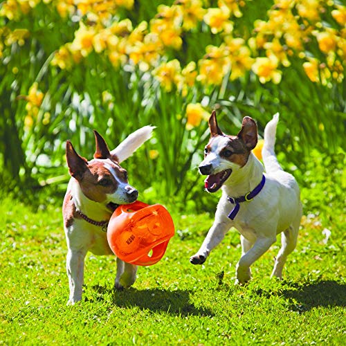 KONG Jumbler Ball - Interactive Toy for Dog & Puppy Playtime - Fetch Toy with Tennis Ball - Dog Supplies for Engaging Play...