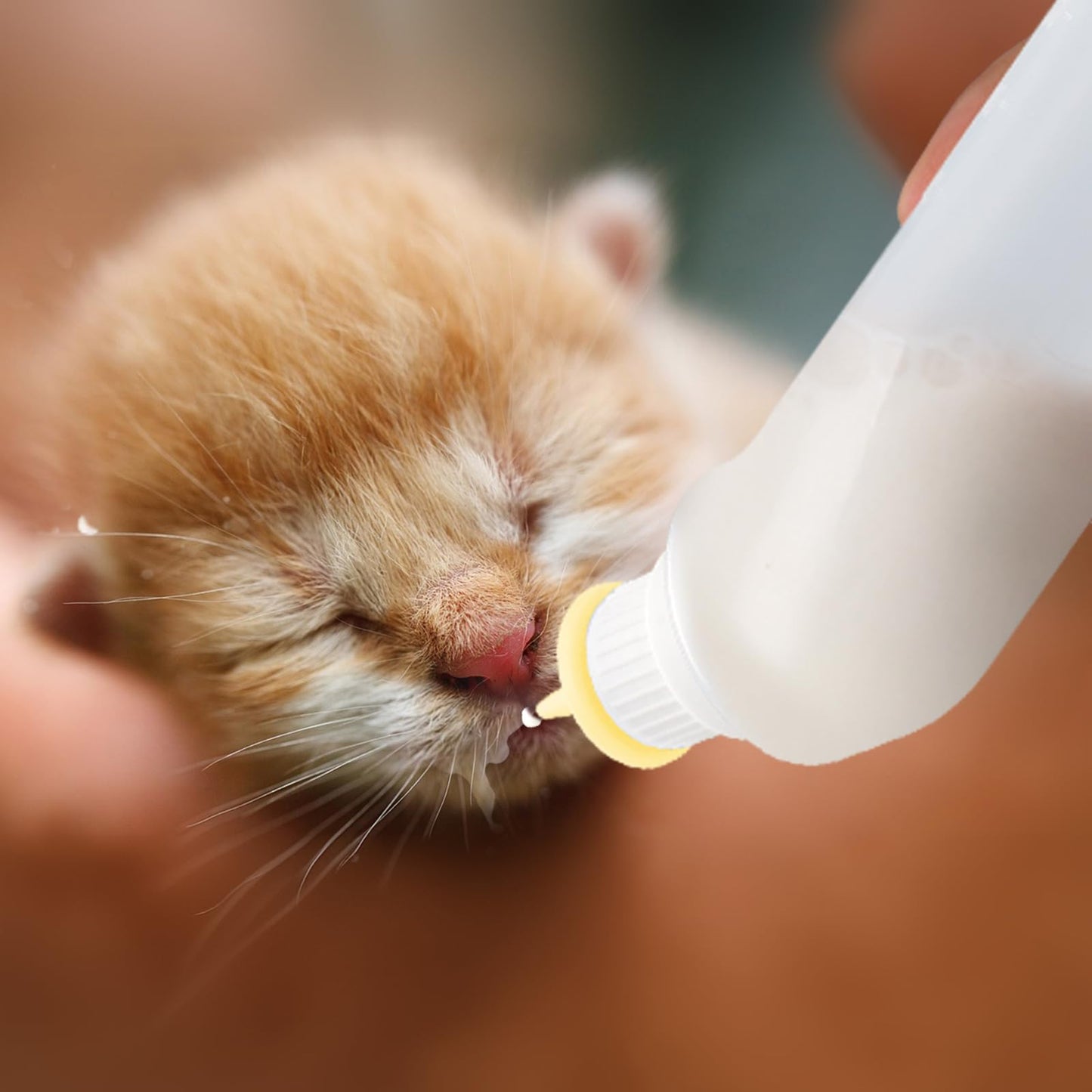 Xuandea 5Pack Kitten Bottle for Nursing Puppy Milk Kitten Bottles Feeding Kit Silicone Nipple for Newborn Pets Kittens, Puppy,Squirrel (Yellow)