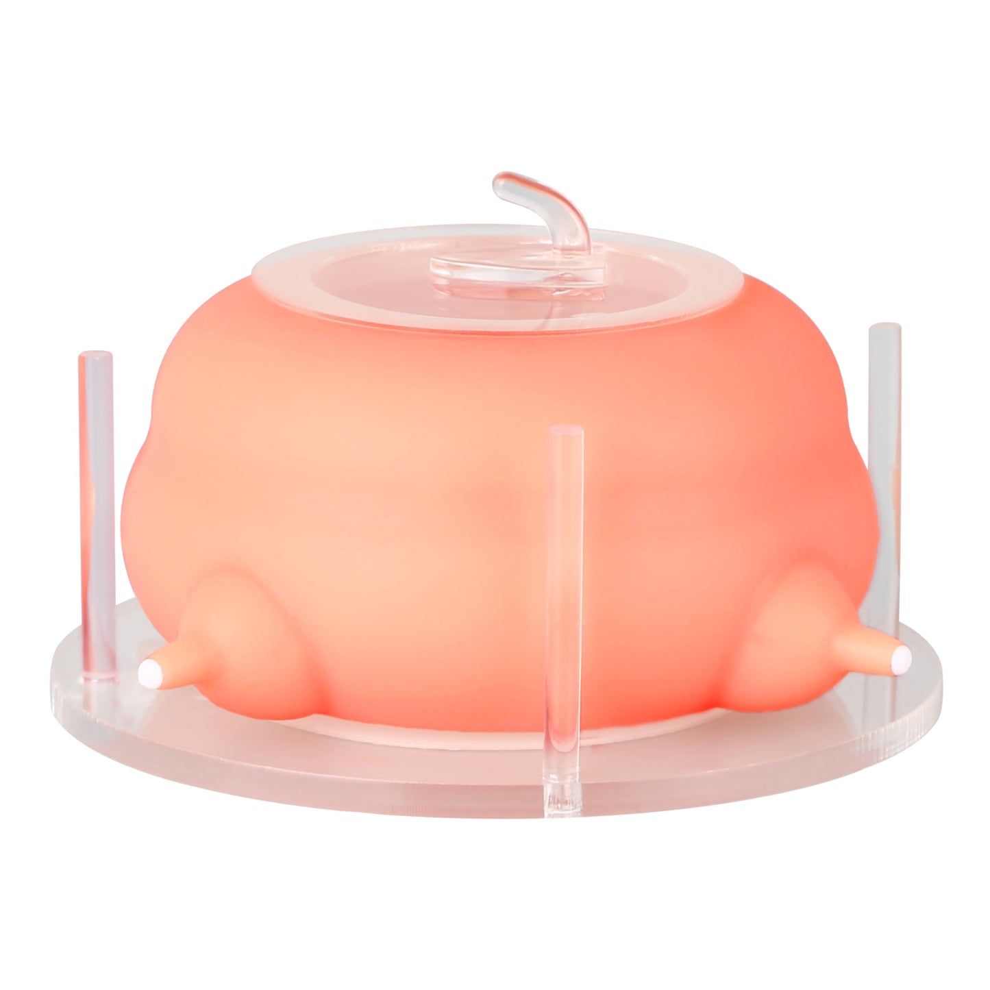 ZALBYUY Puppy Feeder for Multiple Puppies, Pet Milk Feeder with Silicone Dog Nursing Station of 4, Puppy Milk Replacer for Puppies/Kittens