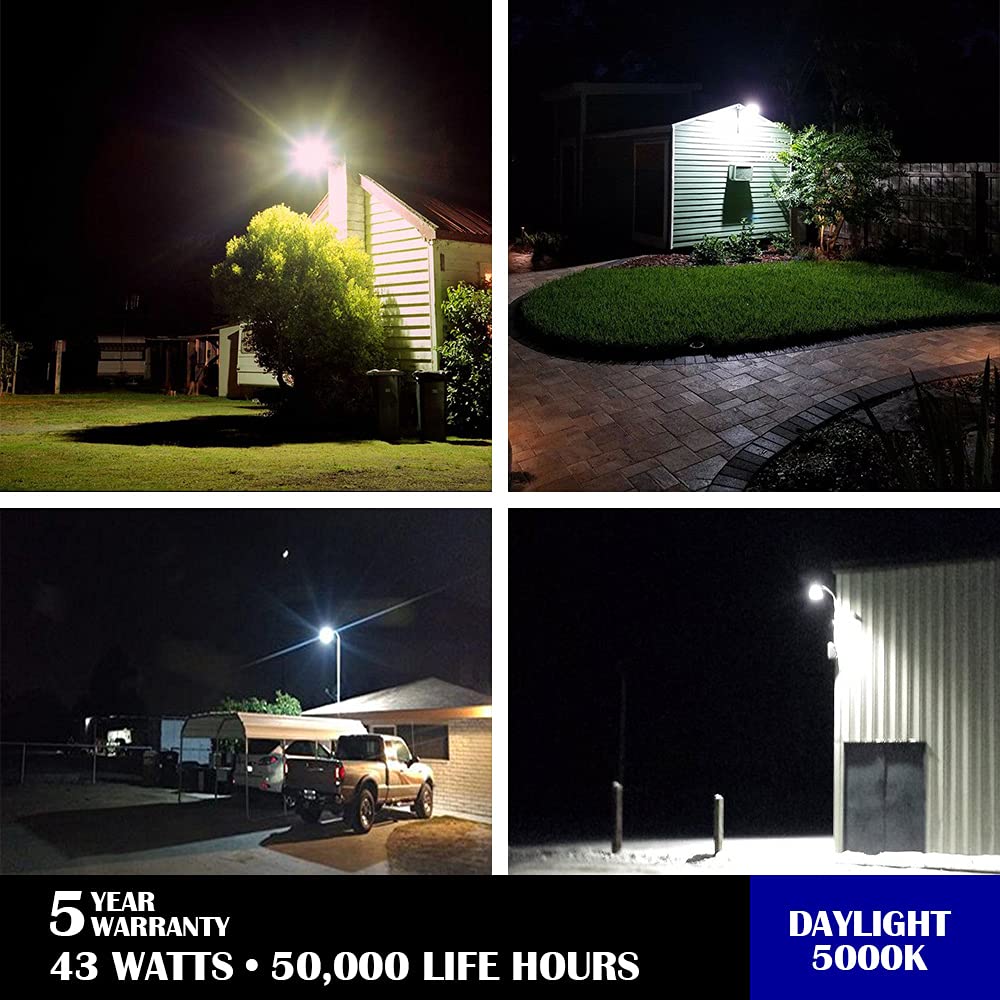 high-standardxcel 43W Led Barn Light - 5000Lm, 5000K Daylight, Dark Bronze, Waterproof, Model Efmg443W12V50Kdp1A