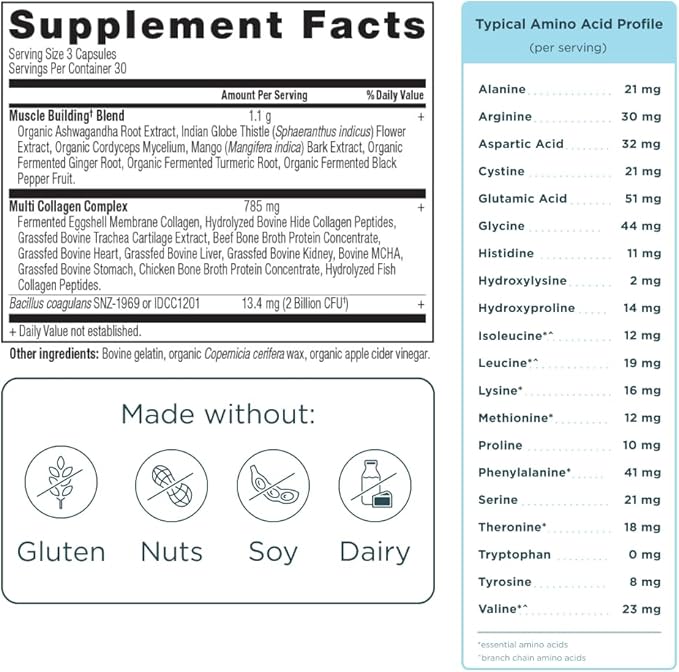 Ancient Nutrition Advanced Multi Collagen Protein Capsules Muscle, 90 Count