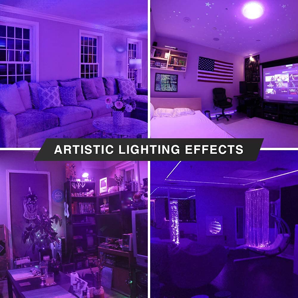 Bluex Bulbs A19 Filament LED Purple Light Bulbs - 8W, E26 Base, 3 Count, Decorative Lighting for Home and Party