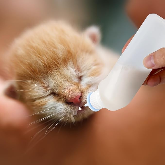 5Pack Kitten Bottle for Nursing Puppy Milk Kitten Bottles Feeding Kit Silicone Nipple for Newborn Pets Kittens, Puppy,Squirrel (Blue)