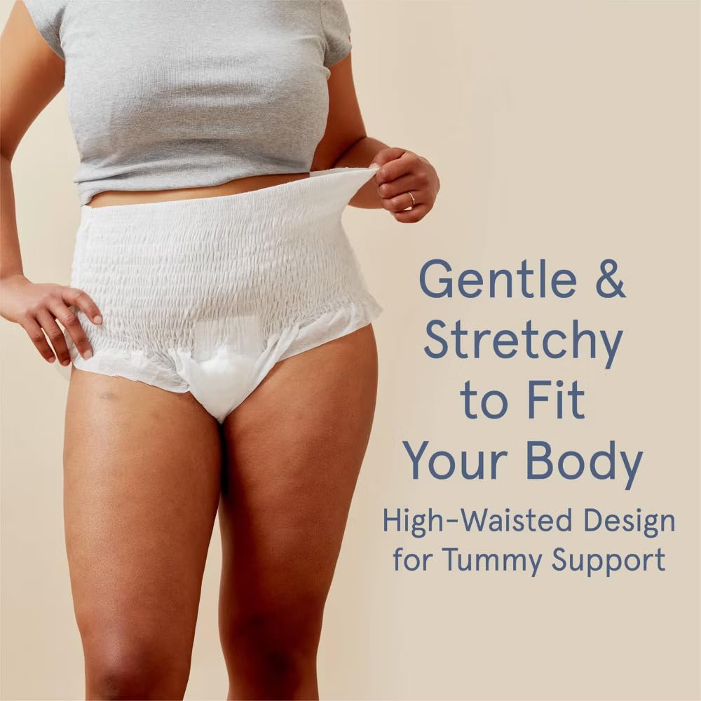 LOLA Postpartum Underwear with Organic Cotton Max Absorbency for Postpartum Bleeding - Pregnancy Hospital Bag Essentials - 10 Count