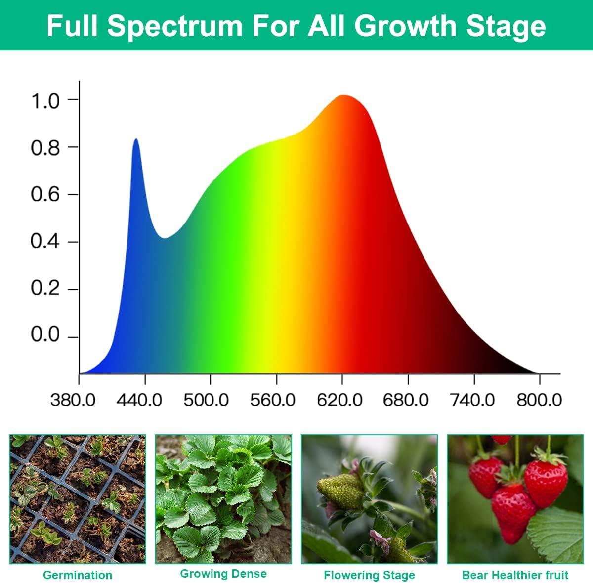 T5 Grow Lights 5000K Full Spectrum,1.4FT (4pcs x 10 Watts) Plant Growing Lamp,End-to-End Connectable Led Light Strips for Indoor Plants Succulents Flowers Growing