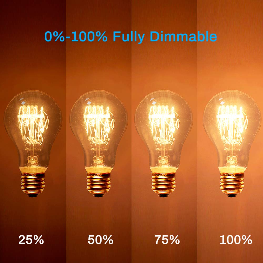 Warm Edison Light Bulbs, 60 Watt A19 Vintage Incandescent Light Bulbs, Dimmable Yellow Old Fashioned Amber Light Bulbs, 2100K Warm White, E26 Base, 6 Pack
