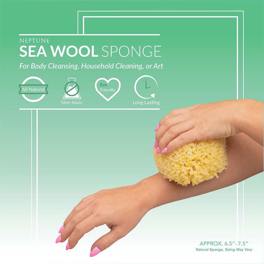 Sea Wool Sponge - All Natural Honeycomb Renewable Sea Sponge, Hand Cut, Jumbo, Approx. 7 Inches