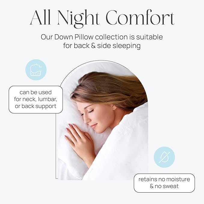 East Coast Bedding Standard Pillow Cozy Dream Firm Pillow, Medium Support Hotel Pillow, Standard Size 20x26 Inch Goose Feather Down Pillows, Pack of 1