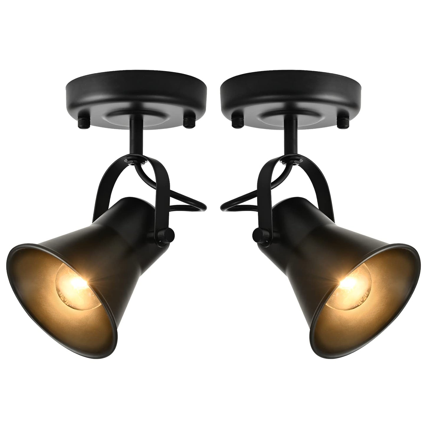 SEEBLEN Track Light Modern Ceiling Spot Lighting Indoor, Adjustable Wall Mount Accent Light,for Bedroom Living Room Hallway Kitc