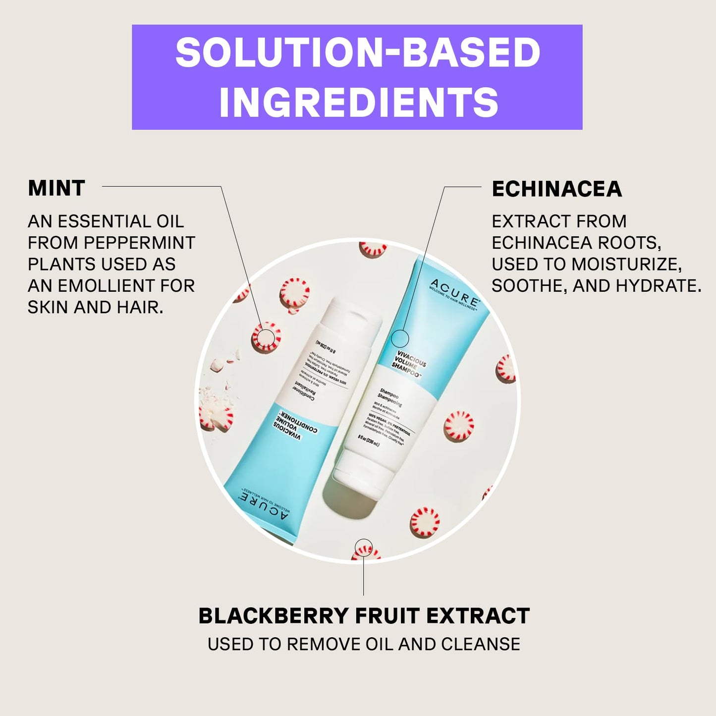 Acure Vivacious Volume Conditioner | Mint & Echinacea Volume Regimen: Lift and Nourish Fine, Fragile Hair for Fullness and Body,